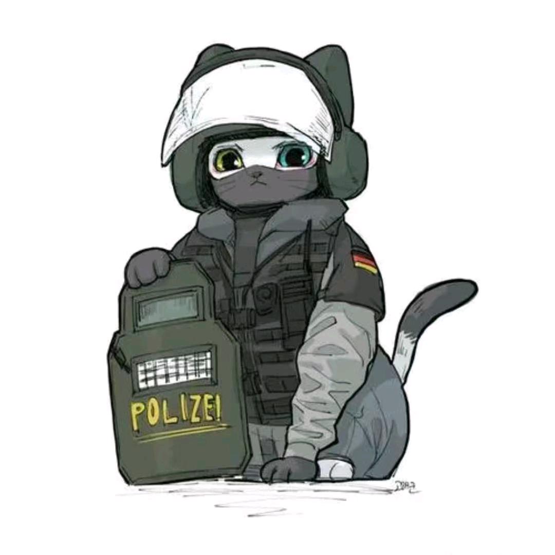 -=A大=-