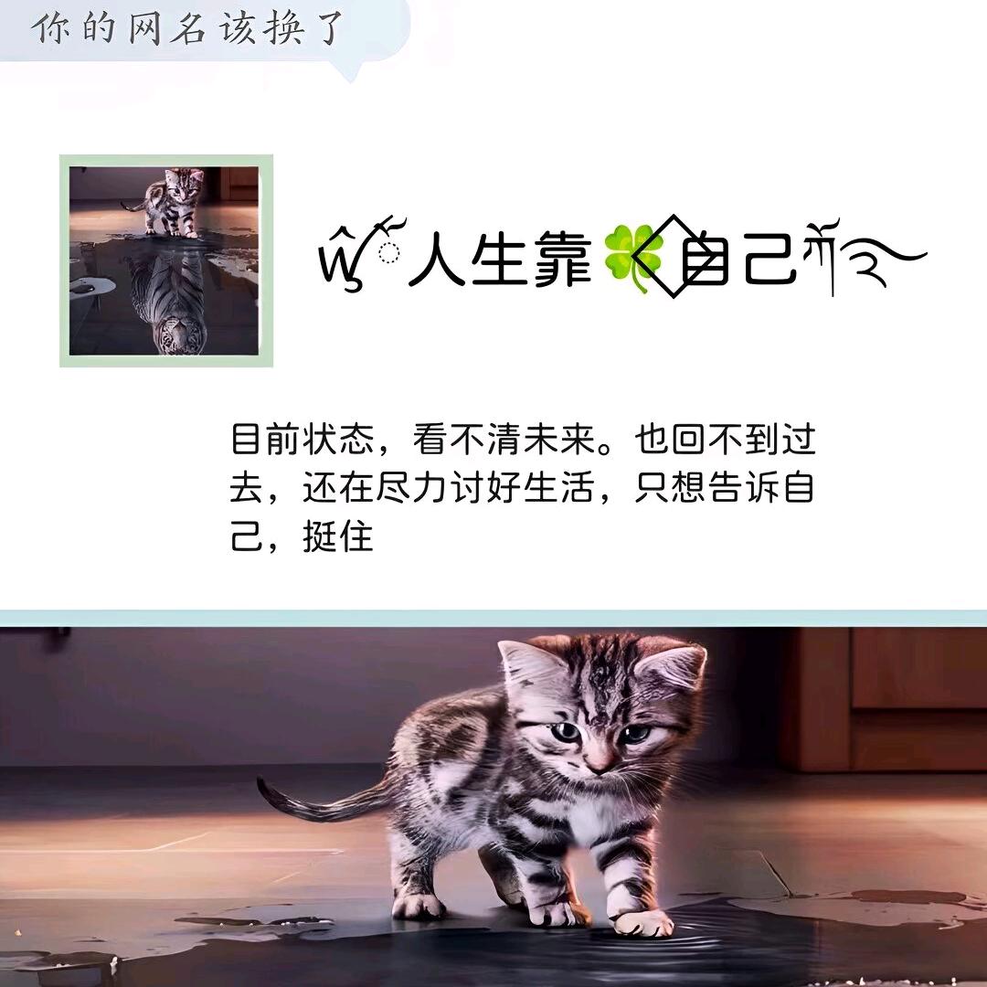 人生靠自己(๑•̀ㅂ•́)و✧