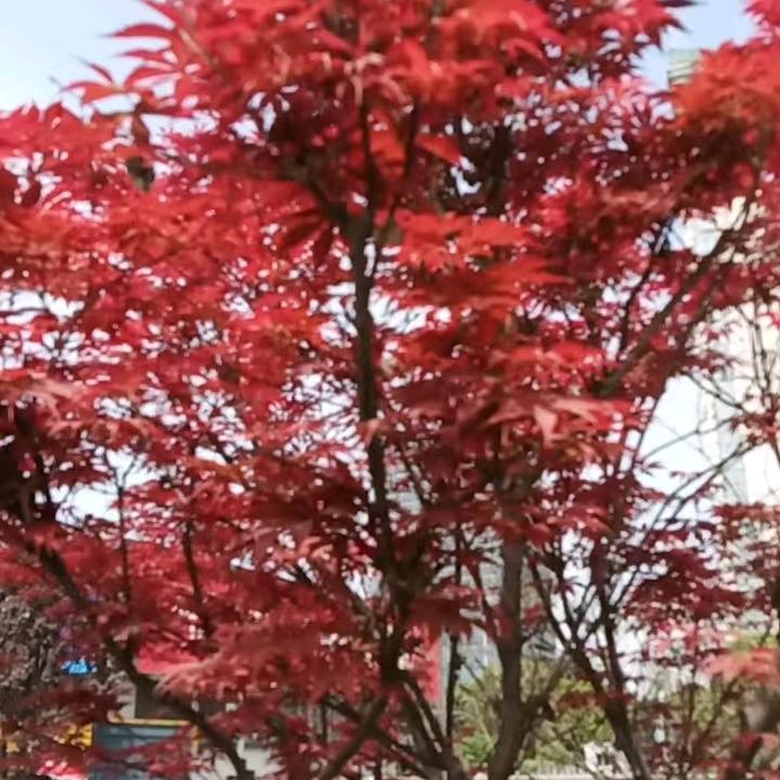 开心就好