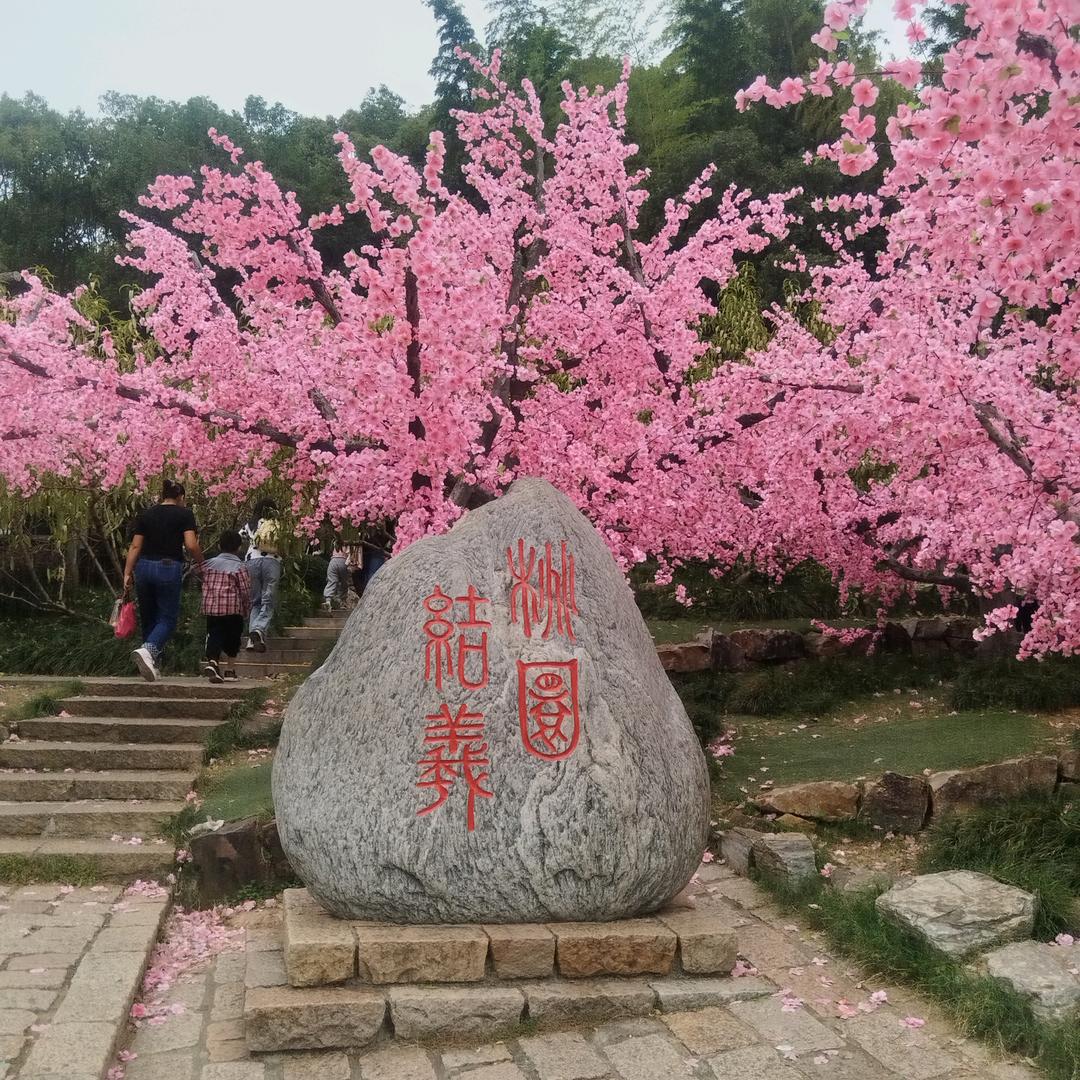 龙在江湖