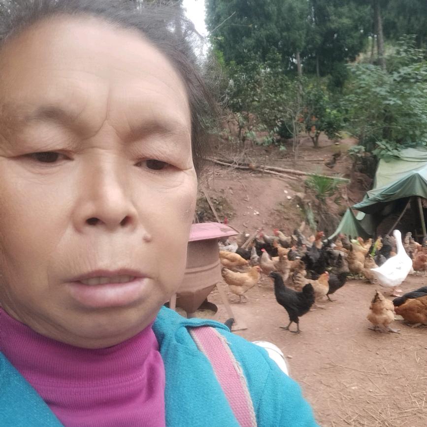 何姐在农村
