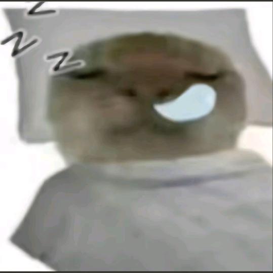 鼠鼠不会飞