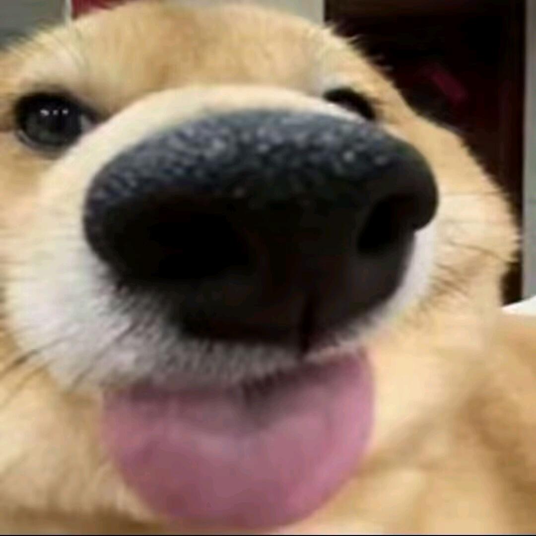 锠淼