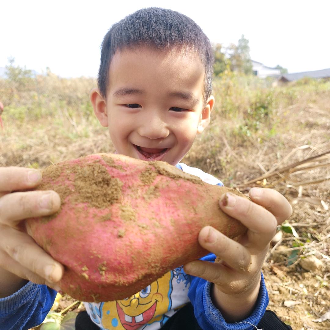 坚持坚持再坚持