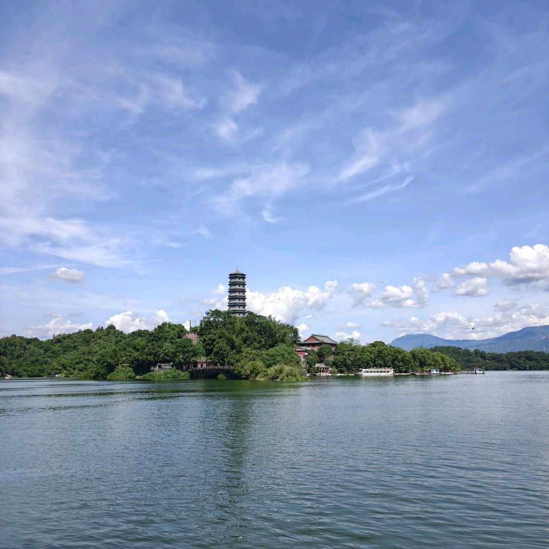 广州郁春-小树