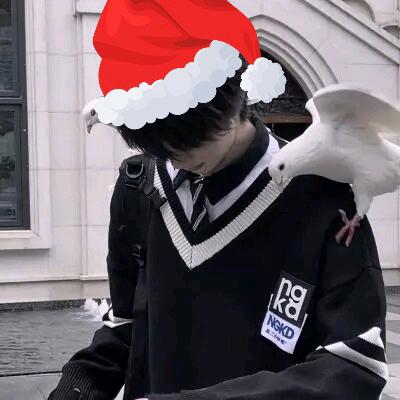陪我宁