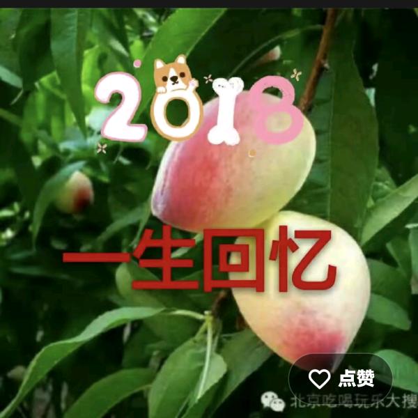 青海朵哥记录农村生活