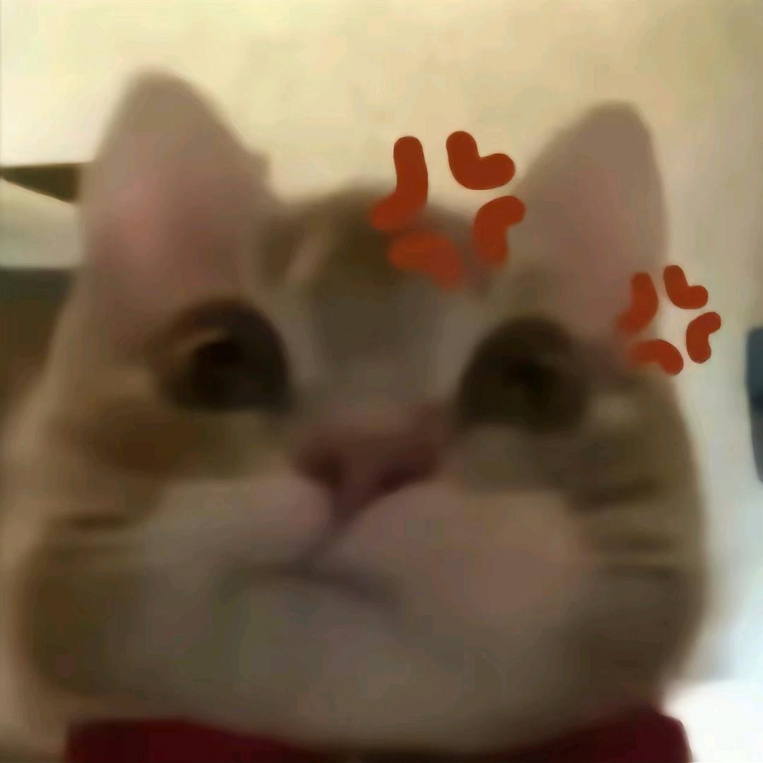 啊波呲的鹅