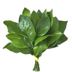 ￴ ￴ ￴￴ ￴ ￴ ￴