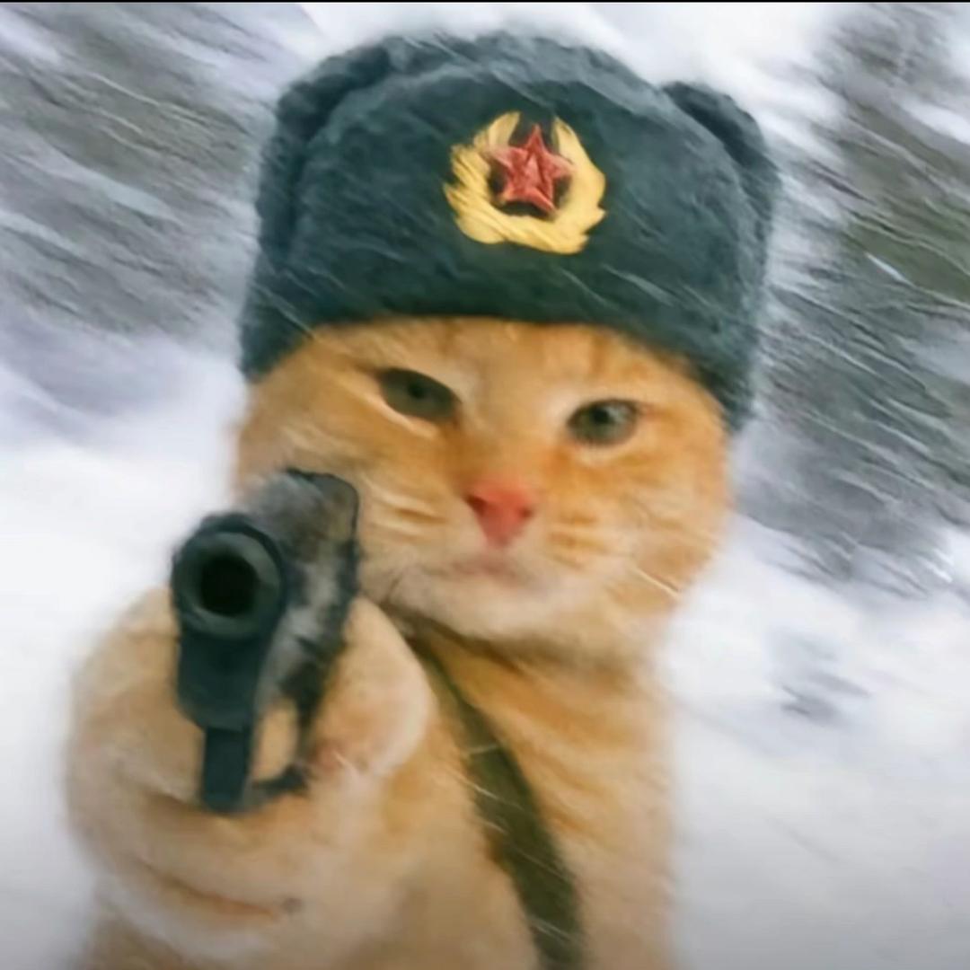 阿翼