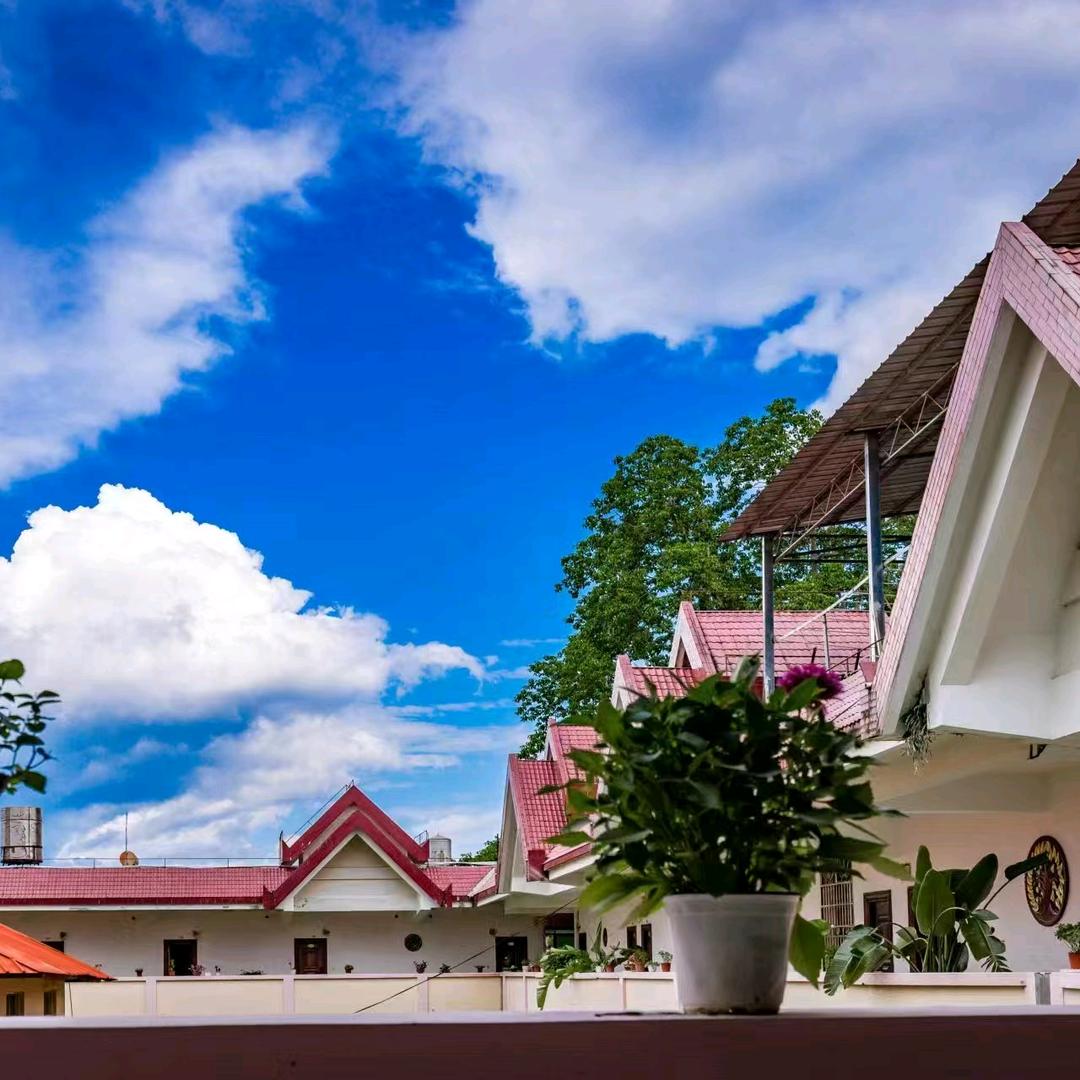 橄榄坝康养旅居基地