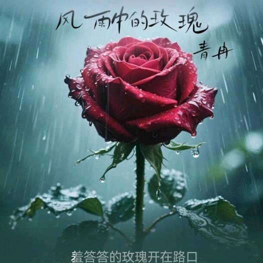 雨中的玫瑰🌹