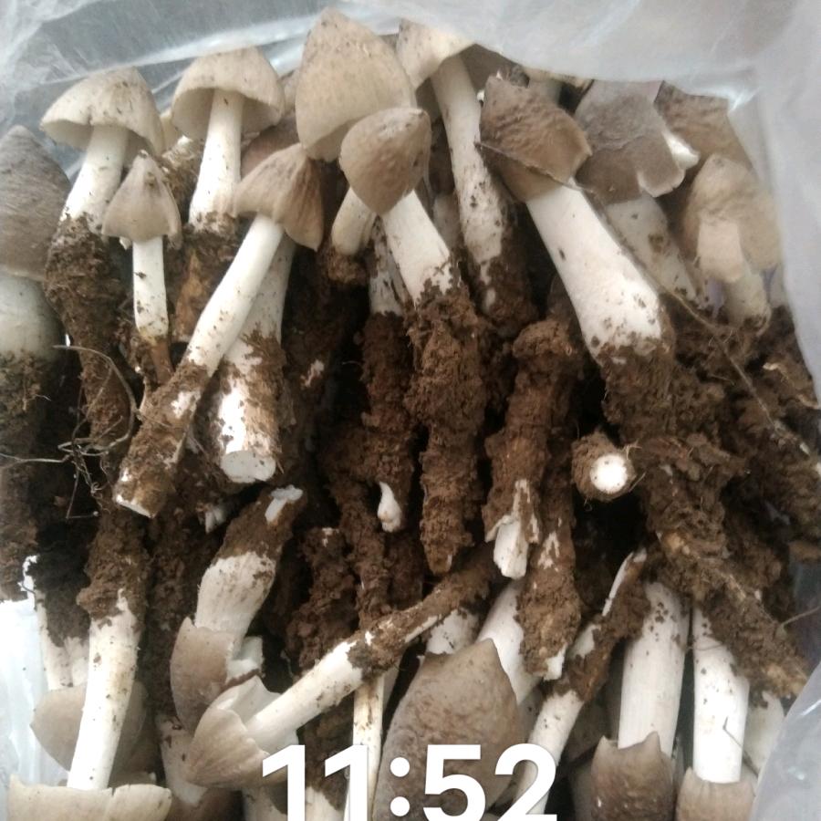 用户6890710383652张利平