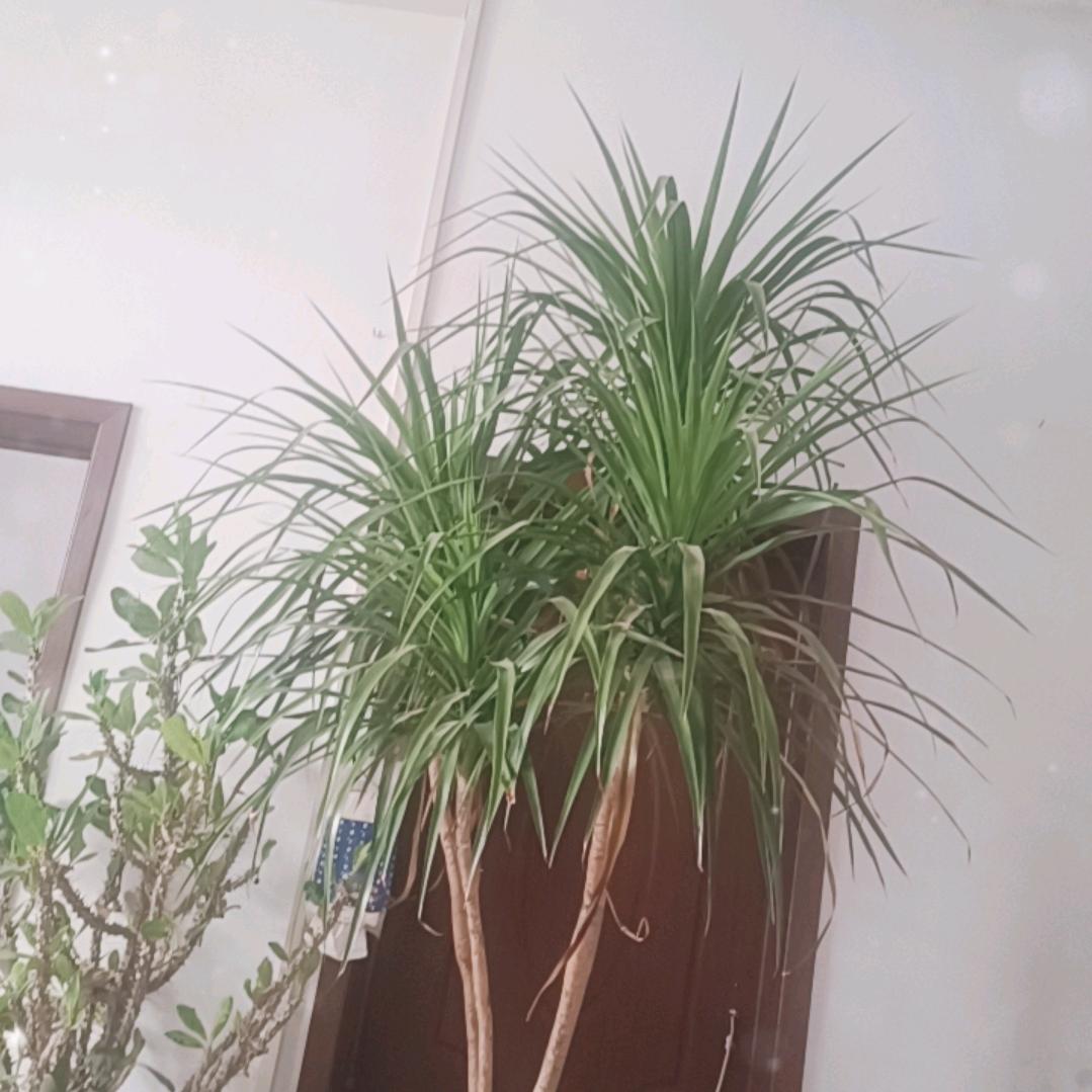 懂的珍惜👉👈才能拥有