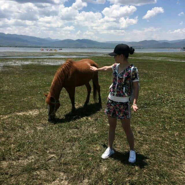 白白菜