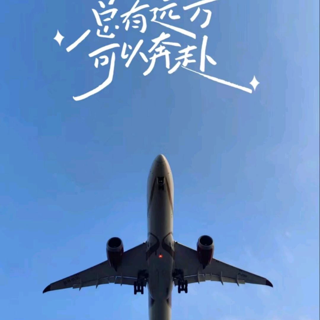 中豪建工玲总