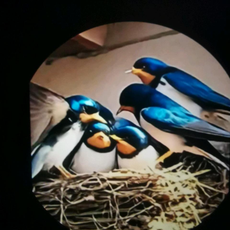 🚵‍♀️💃👭