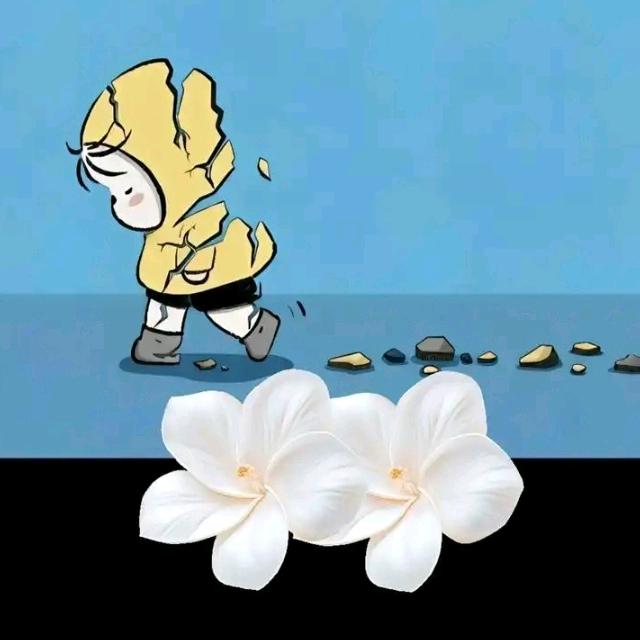 🏐清凉壹吓🎣