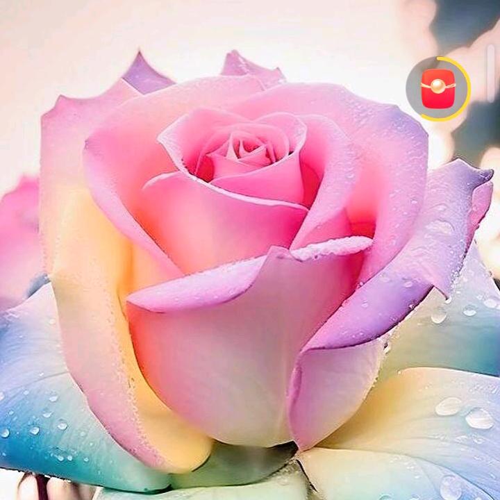 花开春来