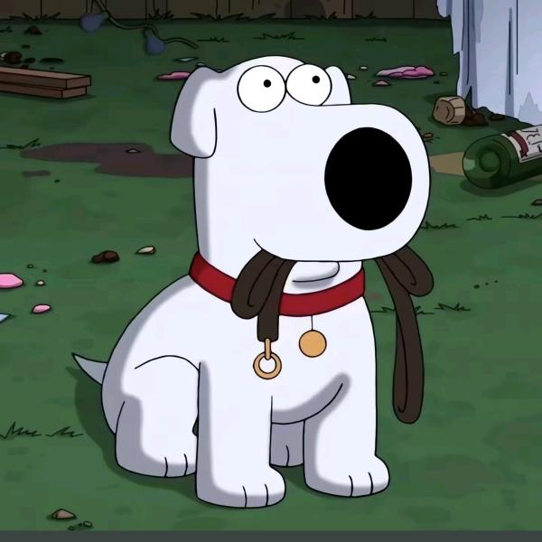 低调的冠希╰_╯