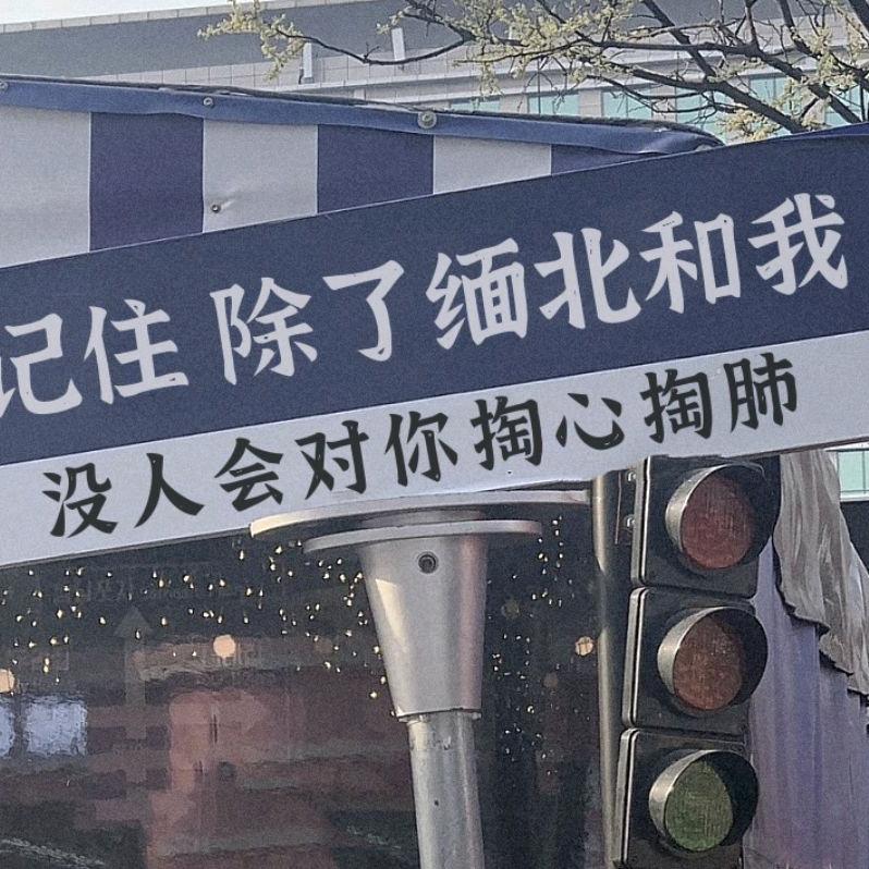 杨哈帮投工作室