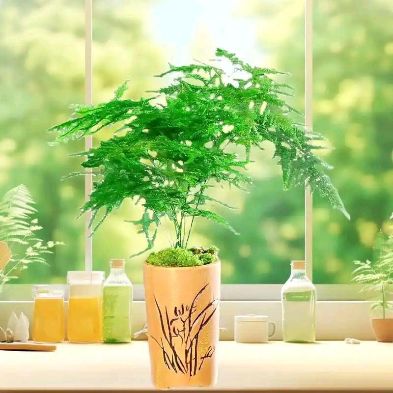 小水源绿植森林