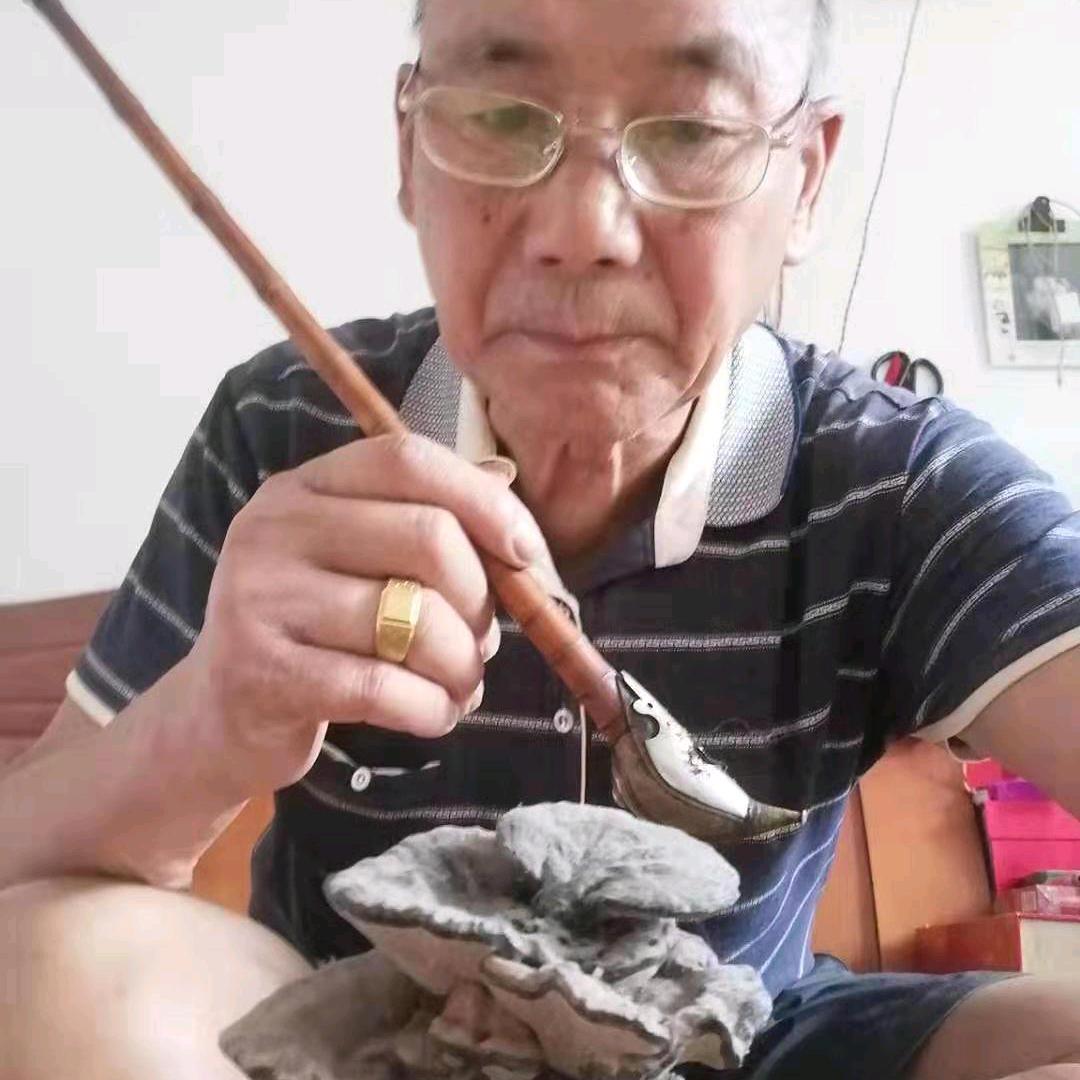 /\十六龙岁