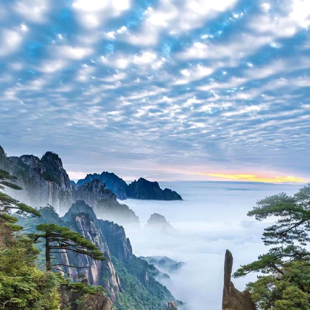 楚凡宝藏