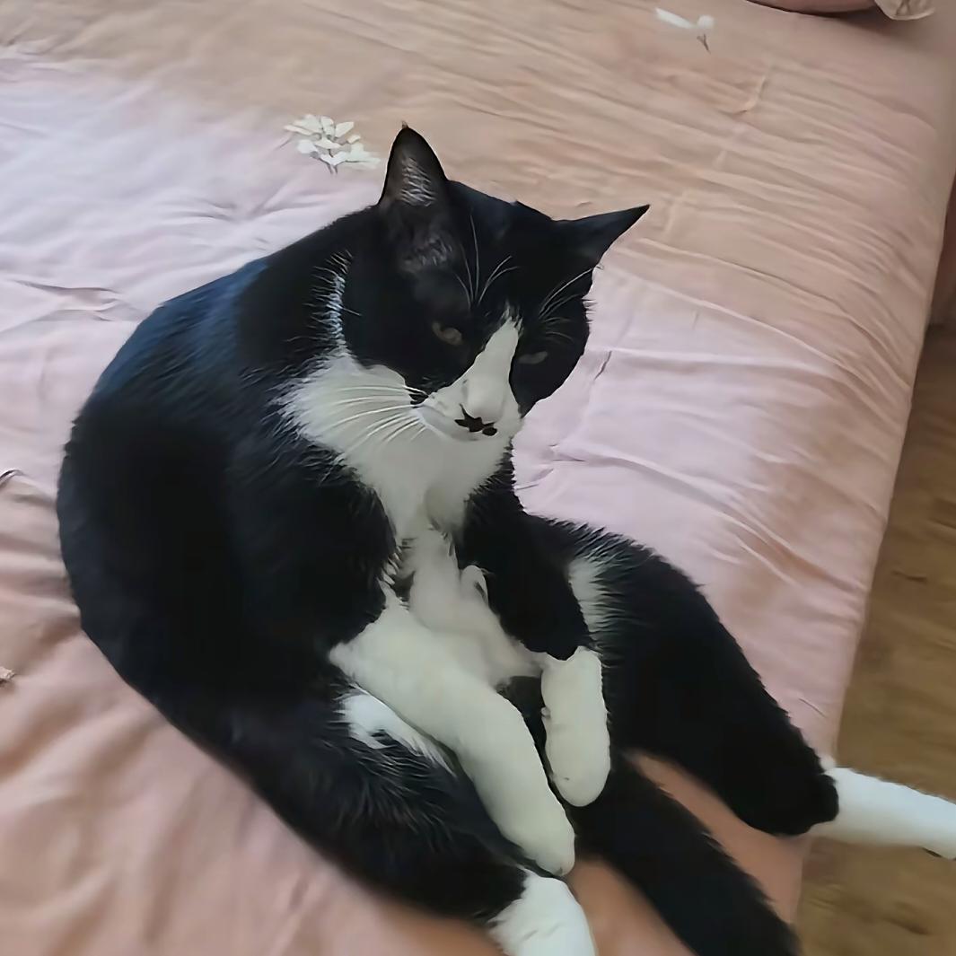 不许