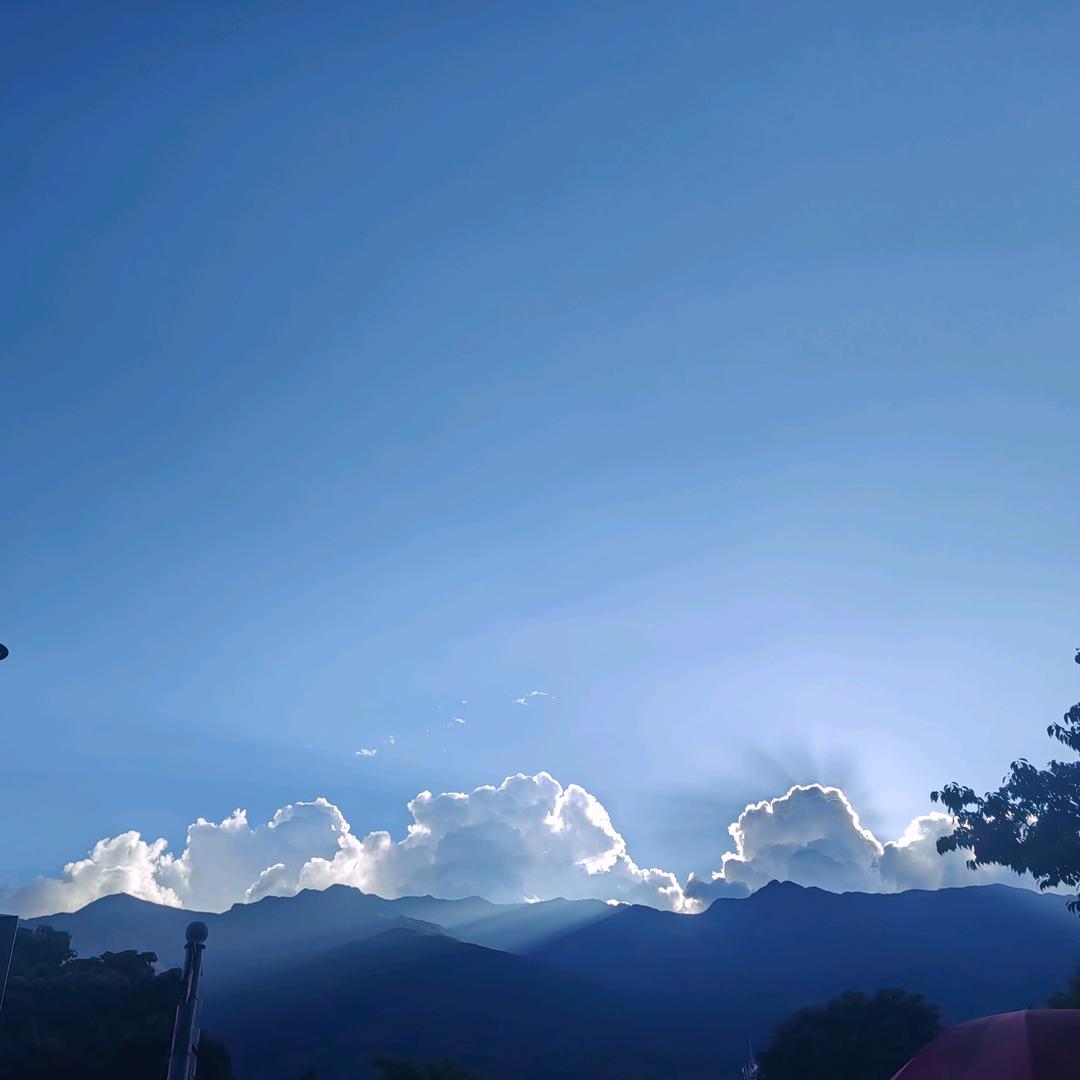 静姐
