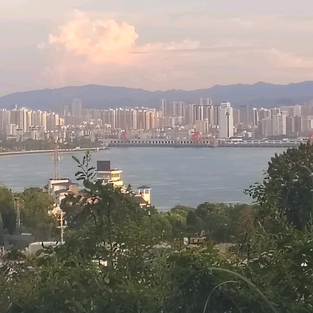 🇨🇳張🇨🇳