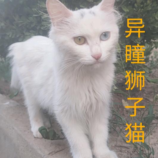 自甴如鱼🐳