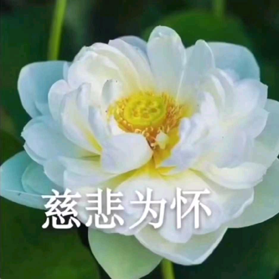 233头像