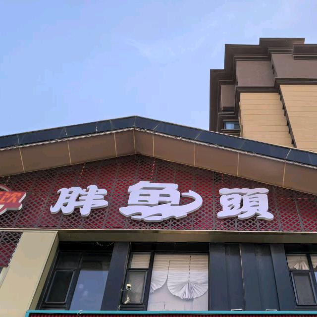 周记胖鱼头