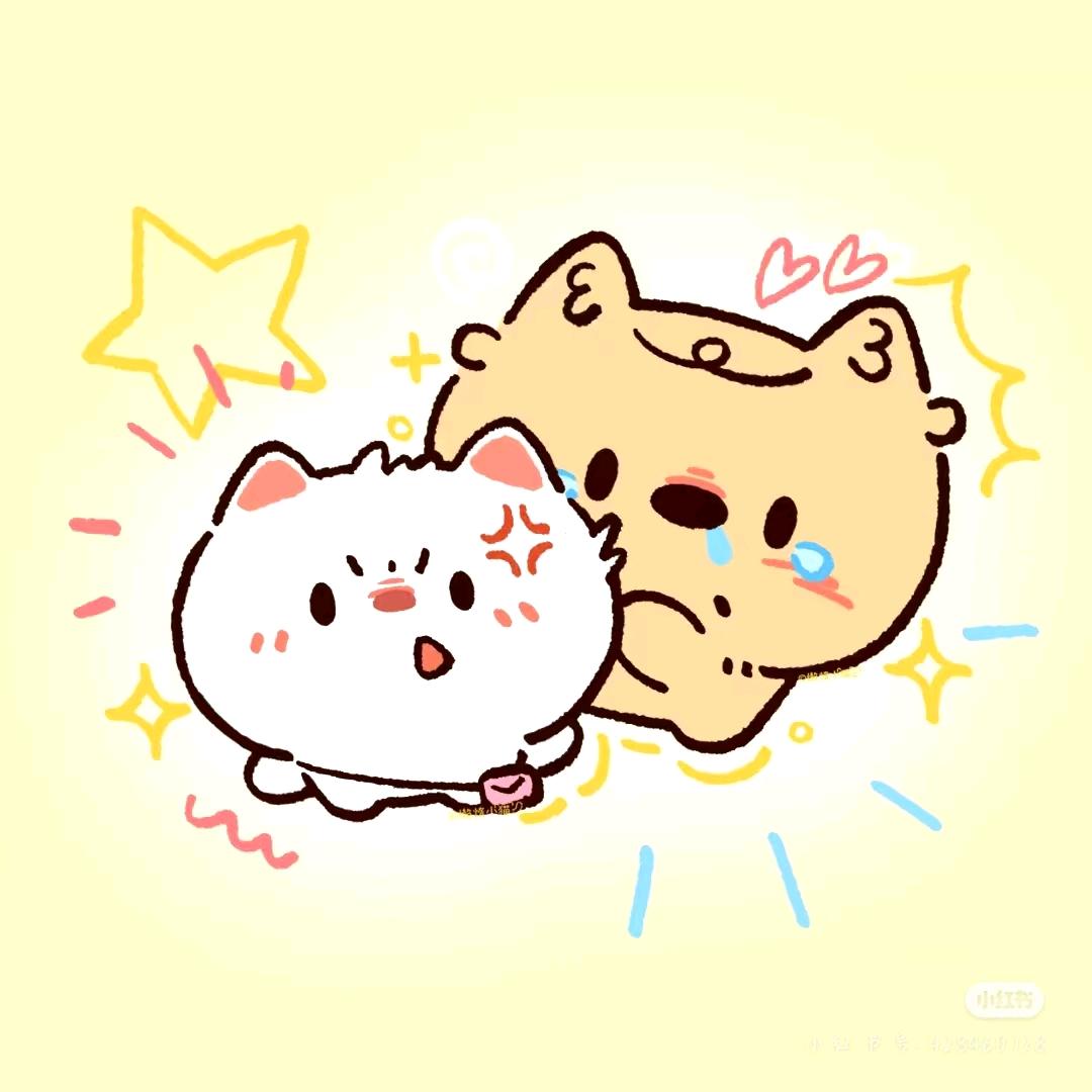 番茄小猫