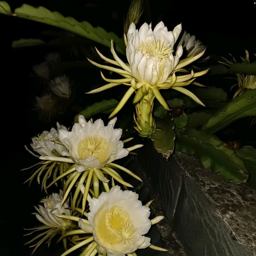 为了明天加油