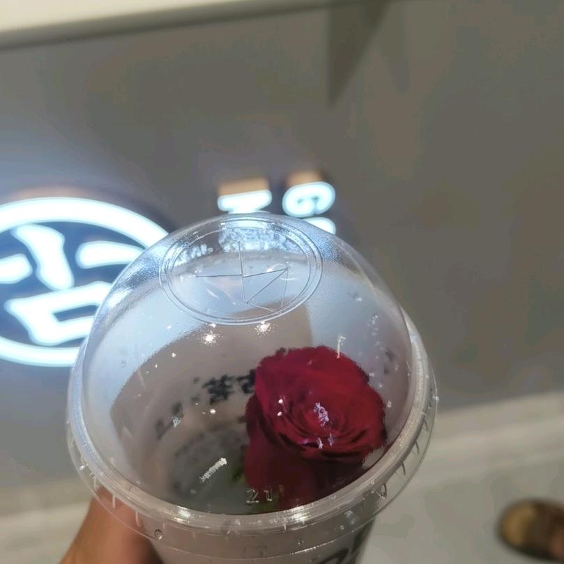 怘朲
