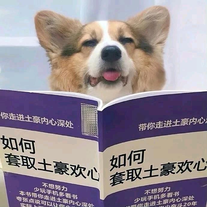 LuQing.