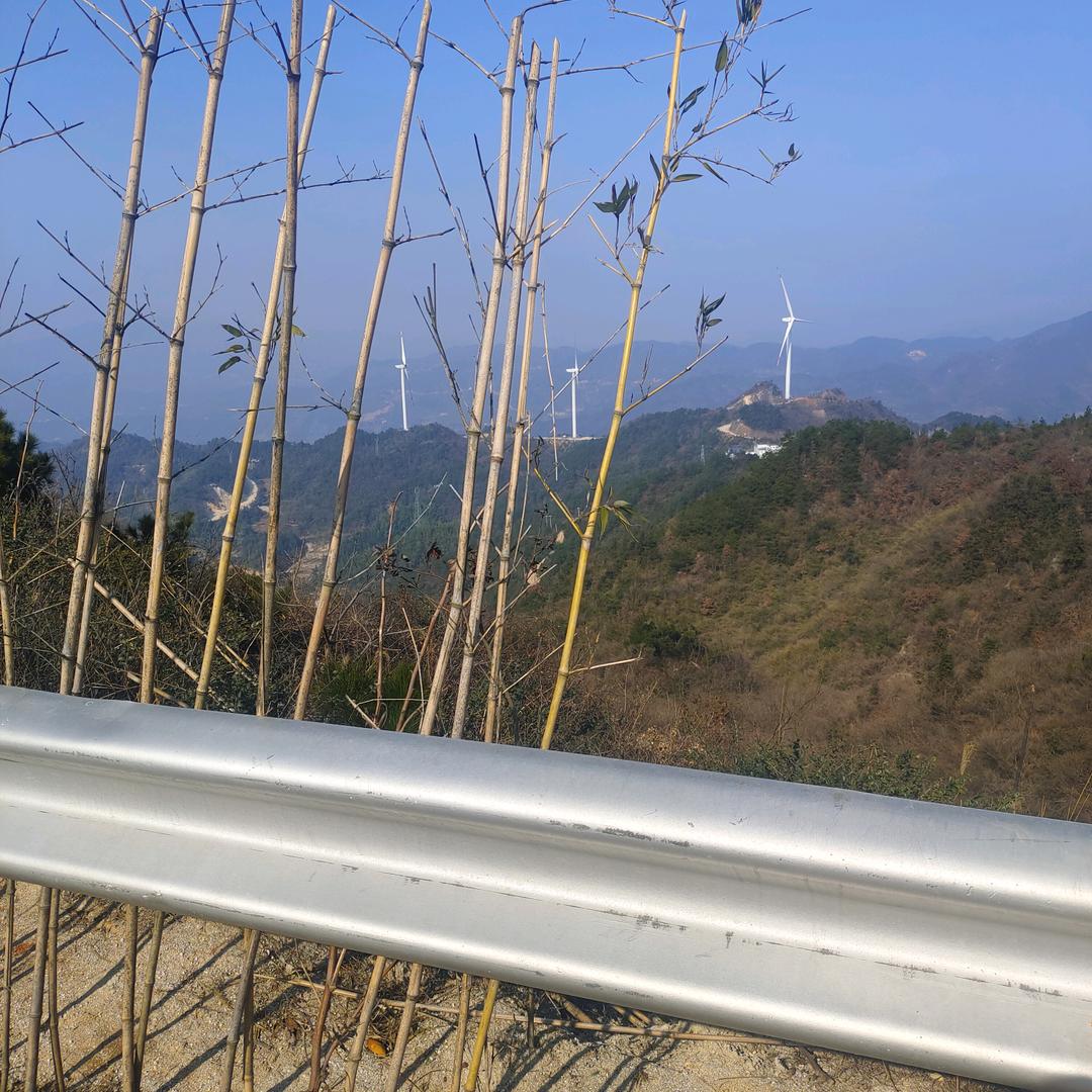 缘来是你