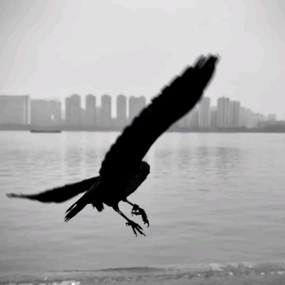 怜花