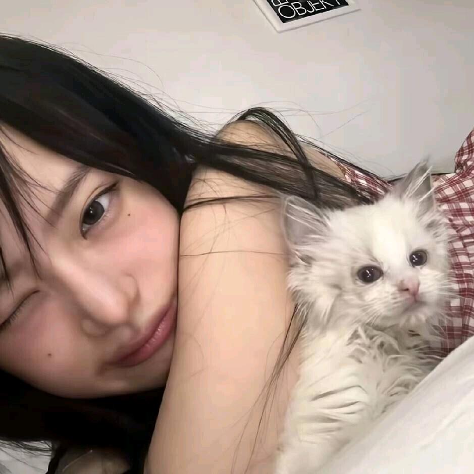 睡个好觉💤