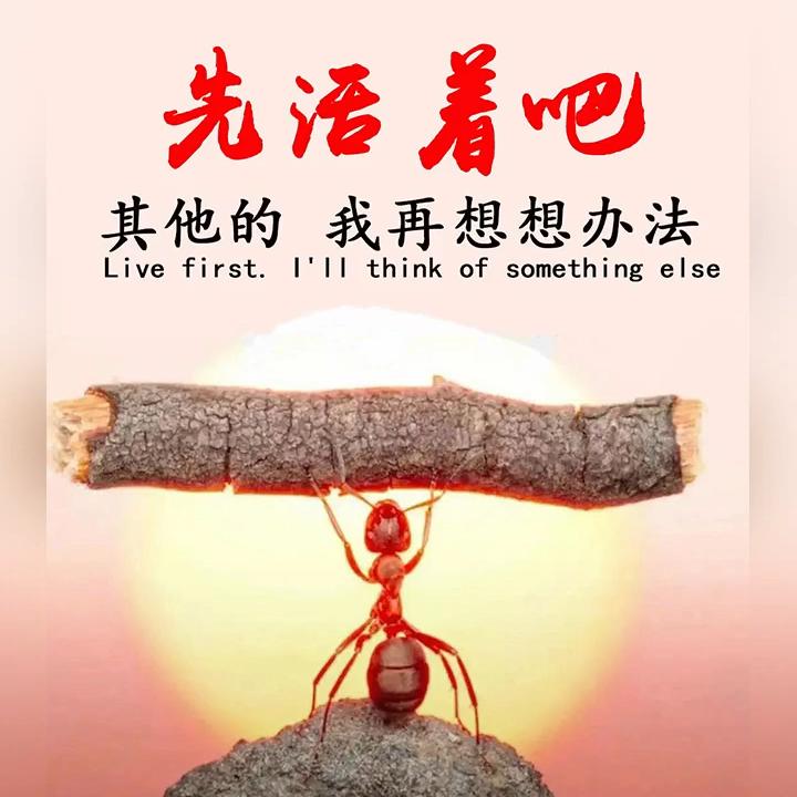 حب摆烂真好حب