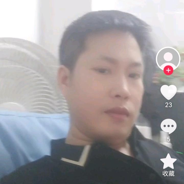 掉了毛的狗