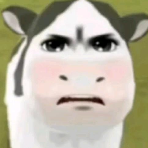 想恰芒果🥭次.