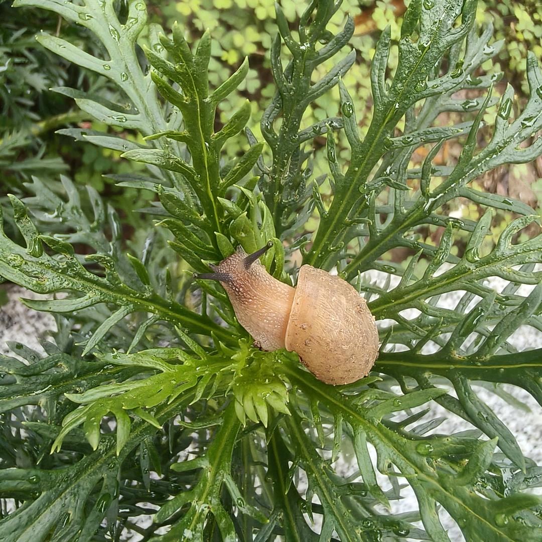 😘您身边的手机专家！