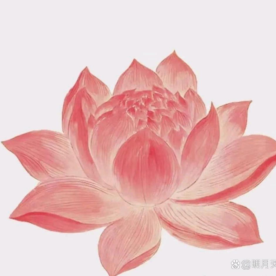 明明润泽
