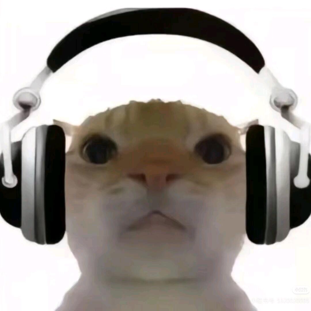 yyyY