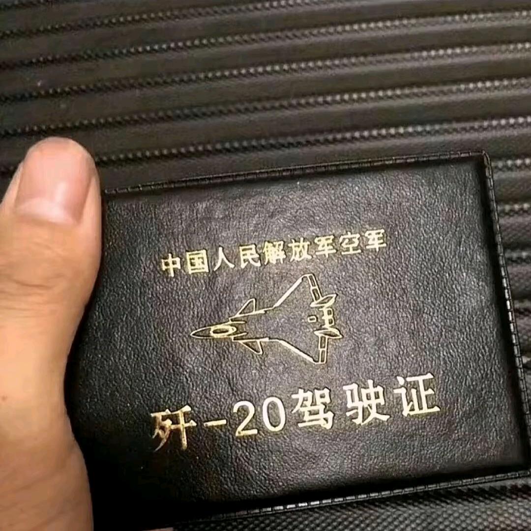 鹰击九天踏星河