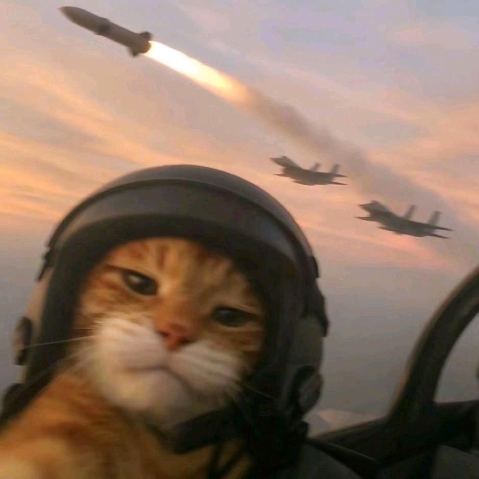 不会摄影的小韩（制作版）