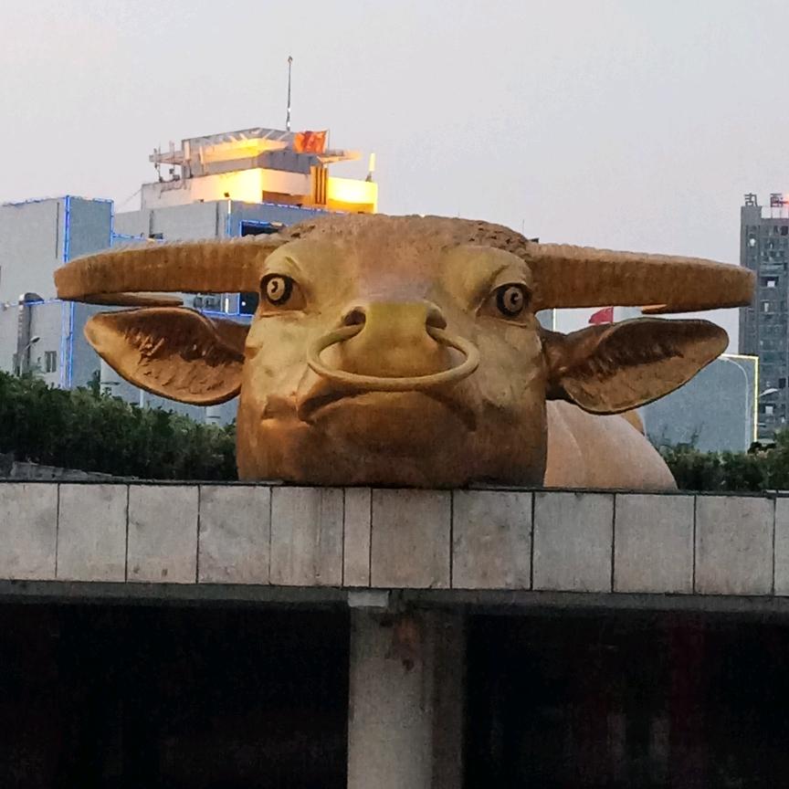 遇见你是我的缘